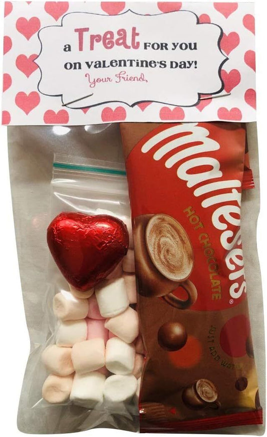 Valentines Day Treat Hot Chocolate, Marshmallows & Heart Date Night Gift